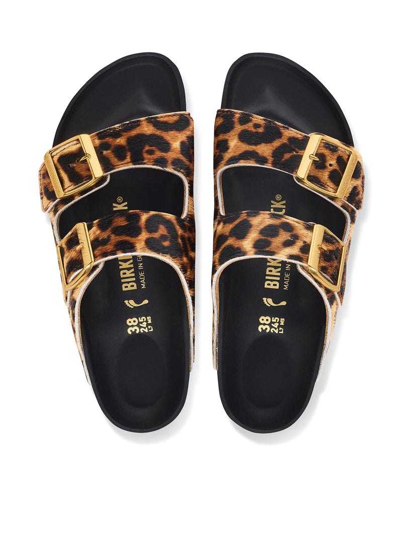 ARIZONA IN ANIMAL PRINT PONY