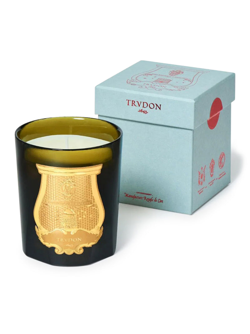 ERNESTO CANDLES 270 GR