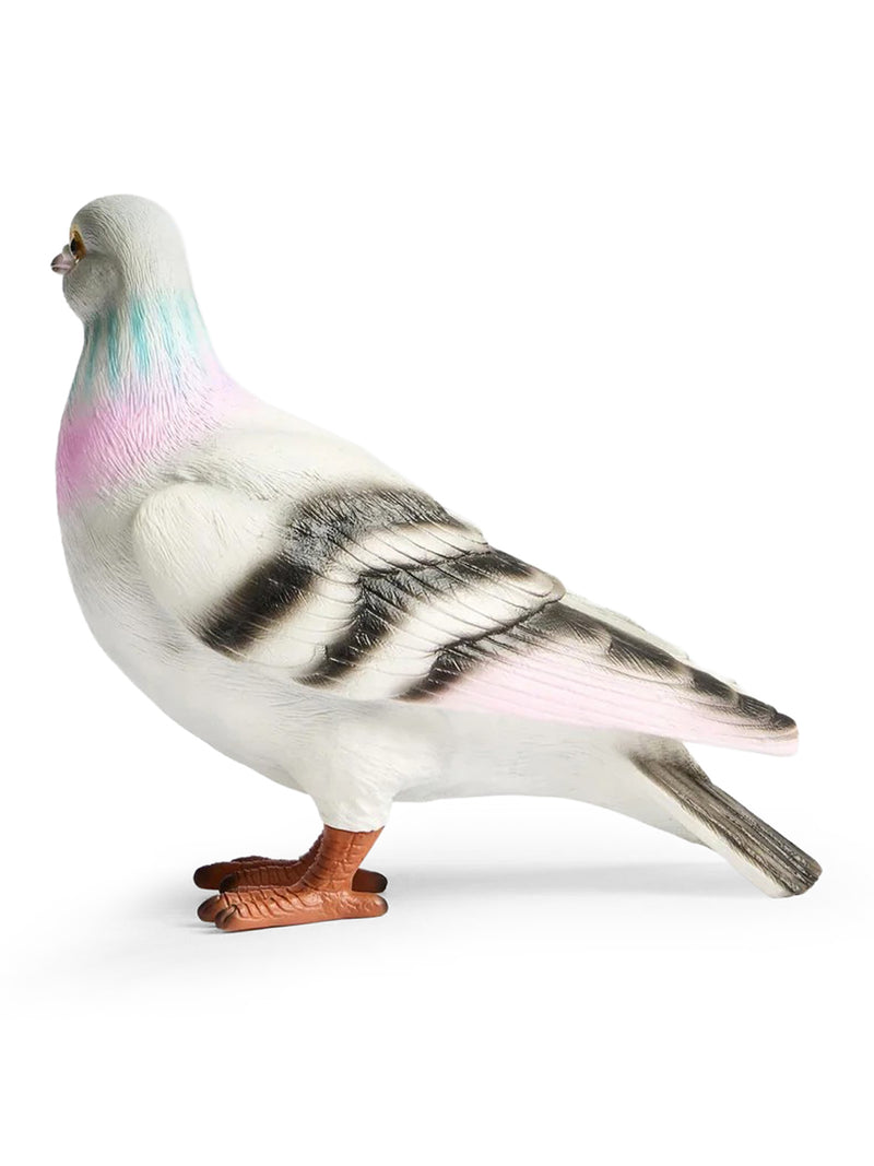 PIGEON CLUTCH