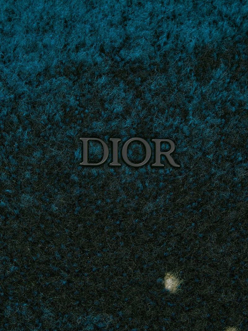 DIOR AND PETER DOIG ZIPPED HOODED BLOUSON